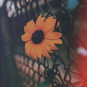 Meet your Posher, Stephany